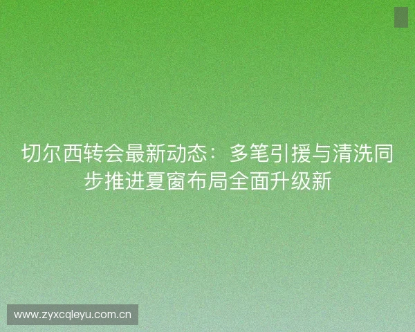 切尔西转会最新动态：多笔引援与清洗同步推进夏窗布局全面升级新